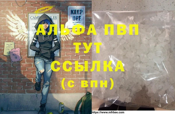 ECSTASY Алзамай